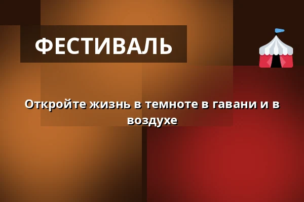 Откройте жизнь в темноте в гавани и в воздухе — Копенгаген