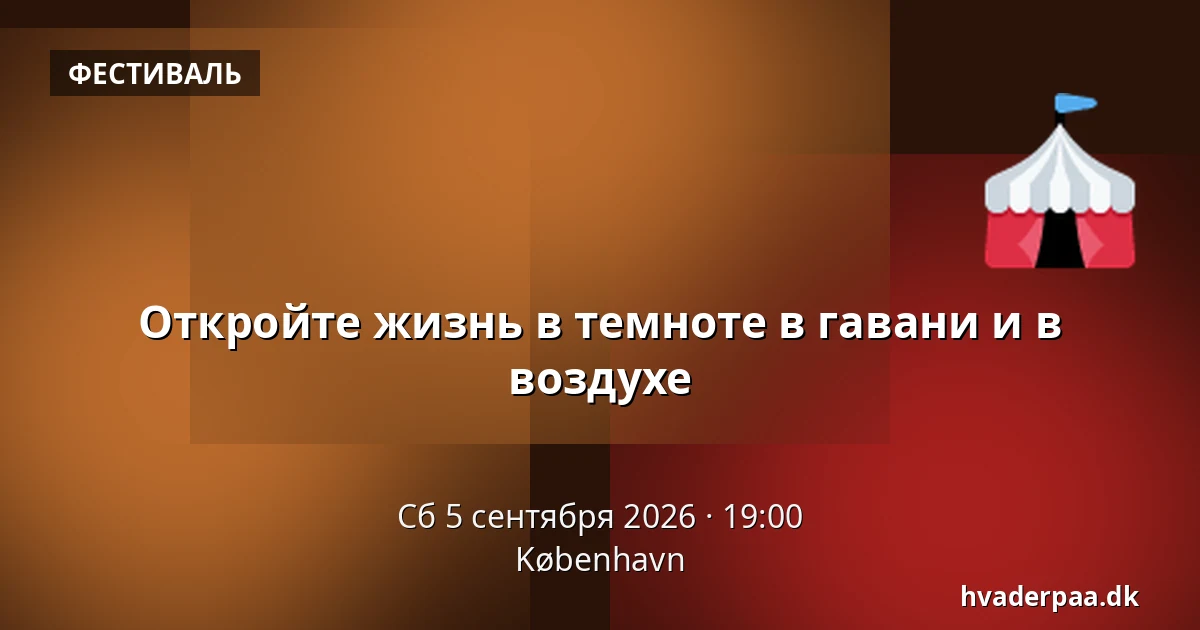 Откройте жизнь в темноте в гавани и в воздухе — Копенгаген