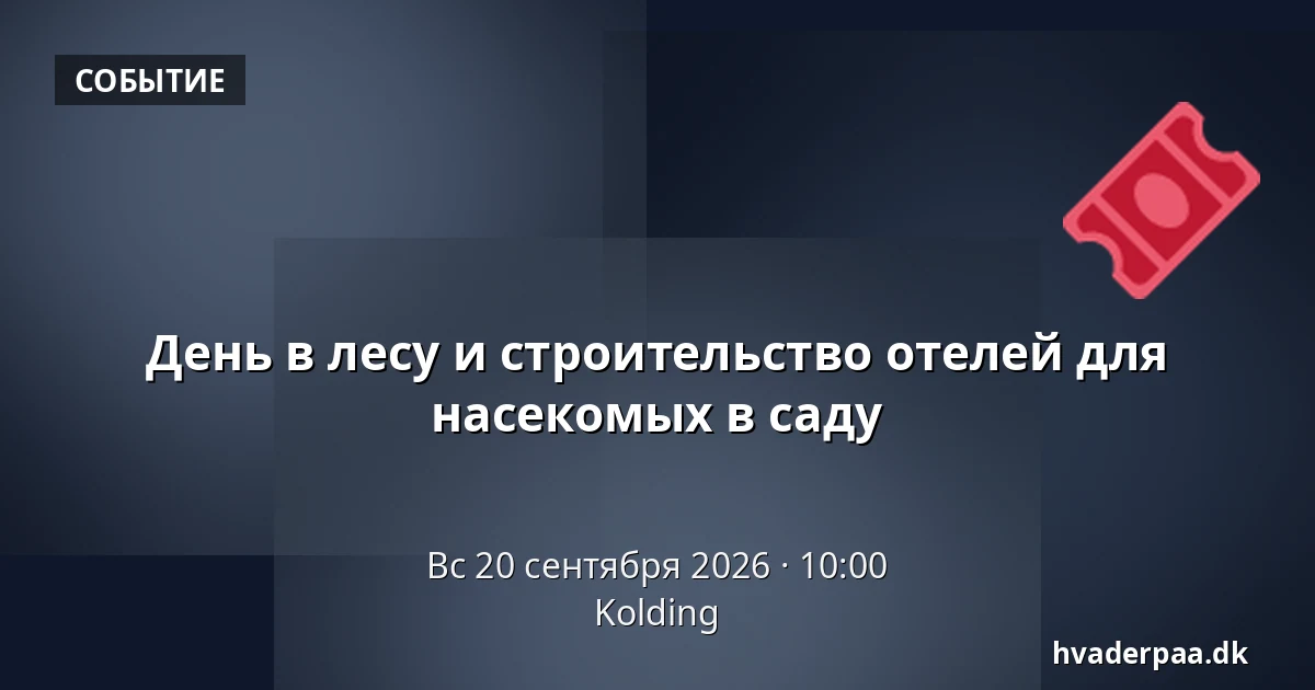 День в лесу и строительство отелей для насекомых в саду · Колдинг
