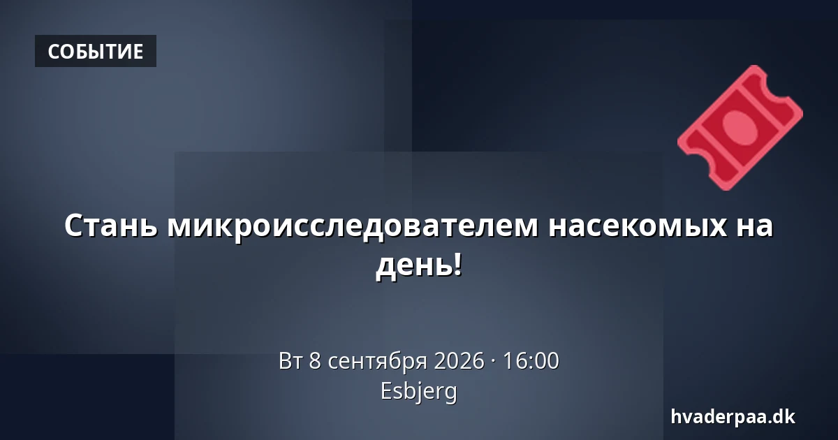 Стань микроисследователем насекомых на день! · Эсбьерг