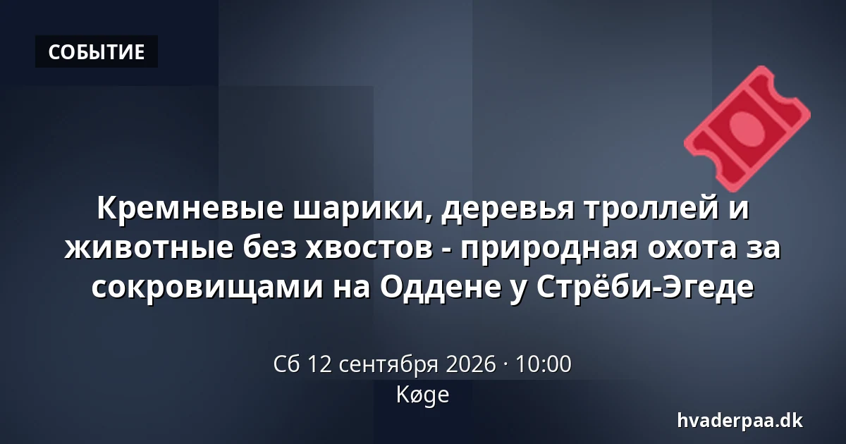 Кремневые шарики, деревья троллей и животные без хвостов - природная охота за сокровищами на Оддене у Стрёби-Эгеде · Кёге