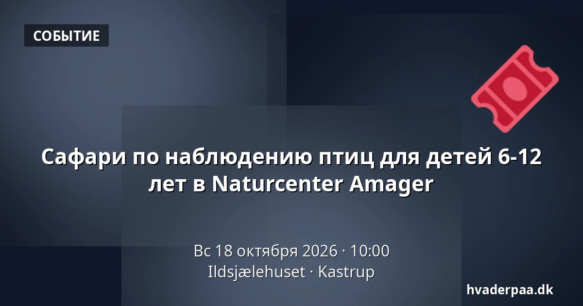 Сафари по наблюдению птиц для детей 6-12 лет в Naturcenter Amager — Ildsjælehuset, Kastrup
