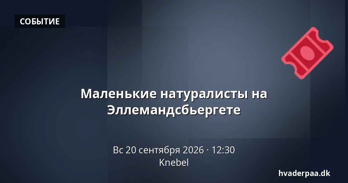 Маленькие натуралисты на Эллемандсбьергете · Knebel