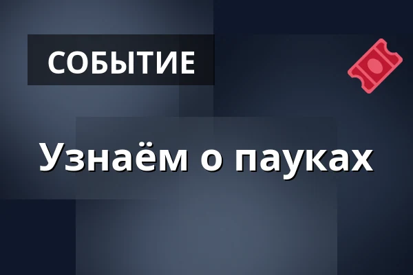 Узнаём о пауках · Vemb