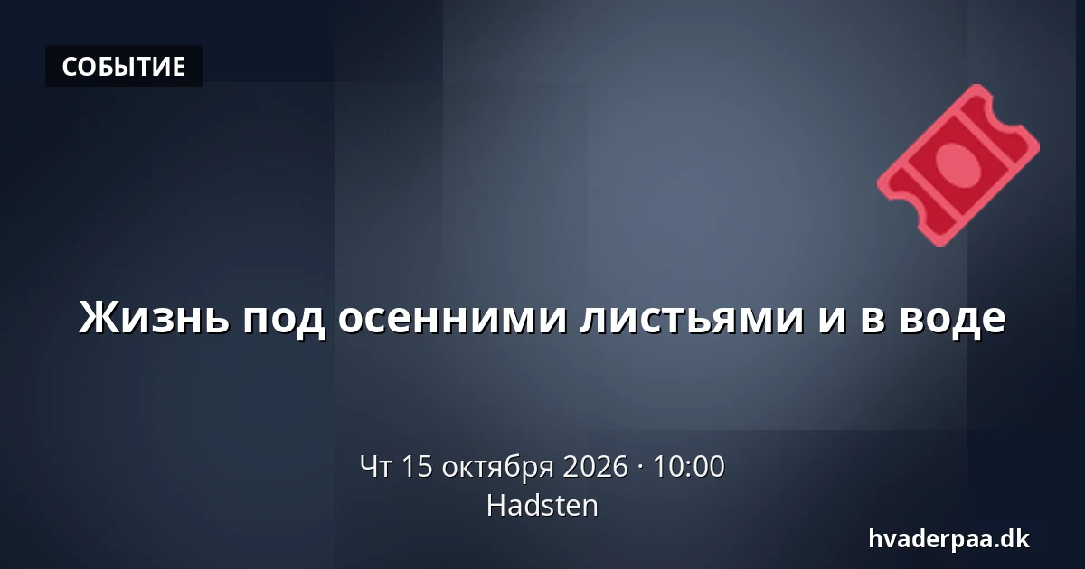 Жизнь под осенними листьями и в воде · Hadsten