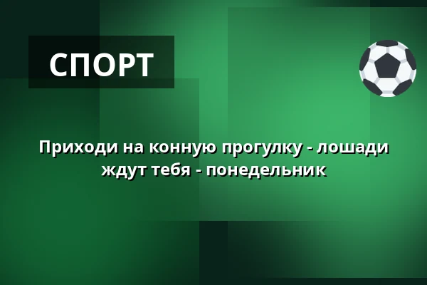Приходи на конную прогулку - лошади ждут тебя - понедельник · Viborg Rideklub, Виборг
