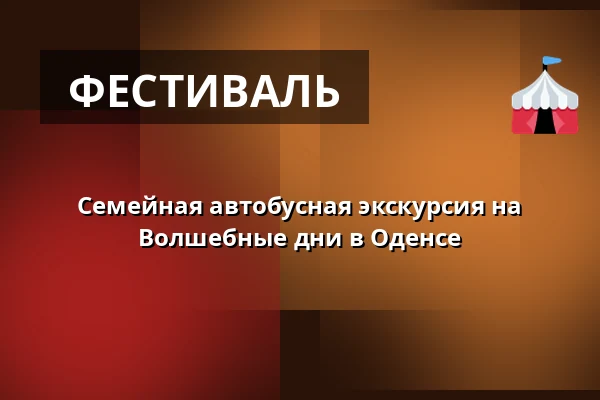 Семейная автобусная экскурсия на Волшебные дни в Оденсе · Viborg /Bjerringbro Bibl., Viborg / Bjerringbro
