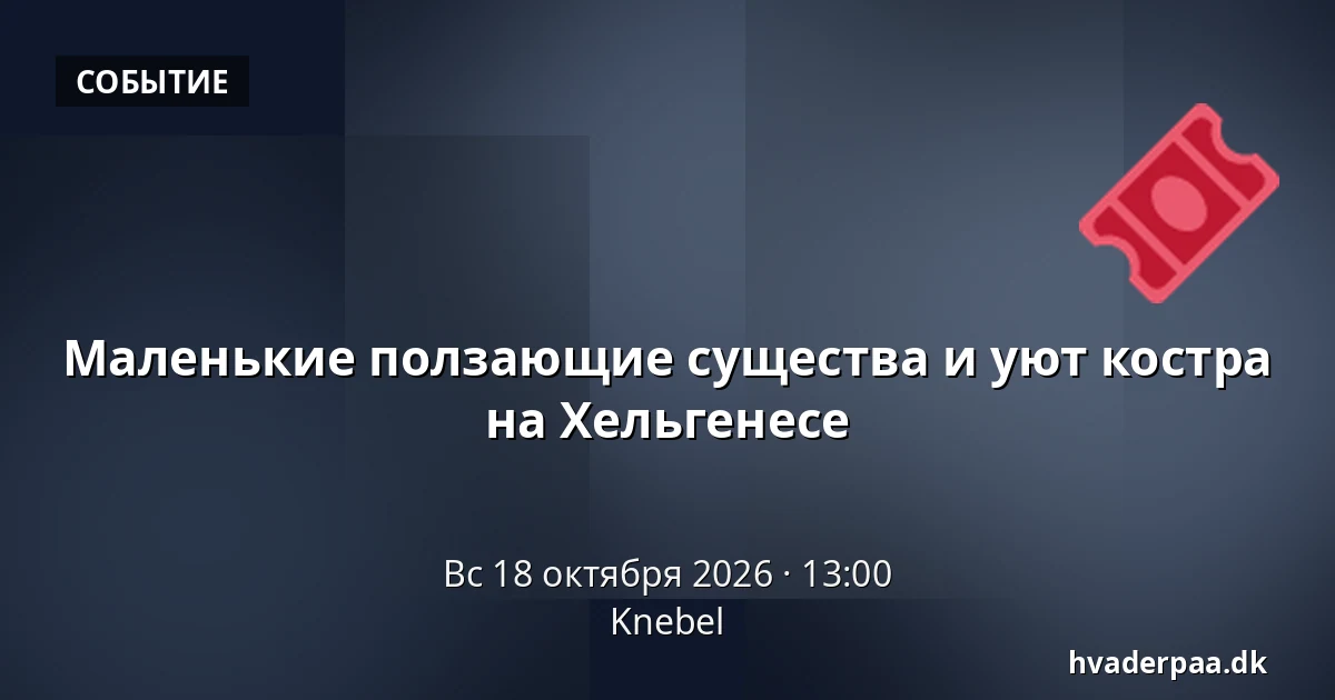 Маленькие ползающие существа и уют костра на Хельгенесе · Knebel