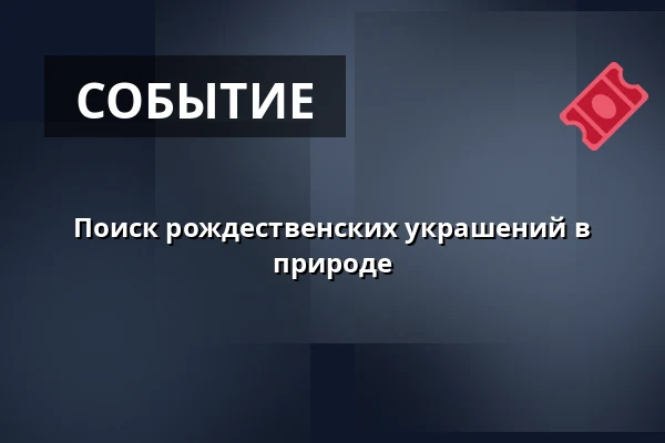 Поиск рождественских украшений в природе · Virum