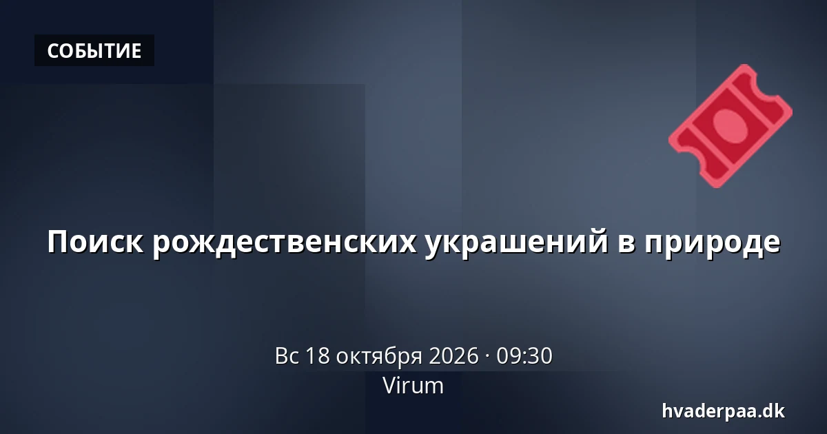 Поиск рождественских украшений в природе · Virum