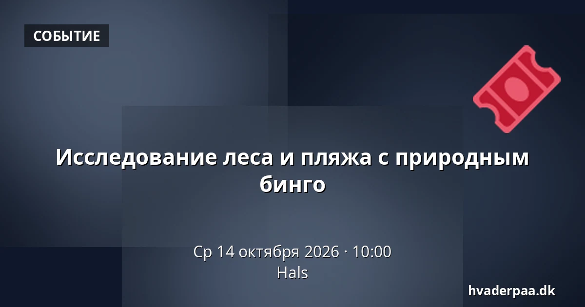 Исследование леса и пляжа с природным бинго · Hals