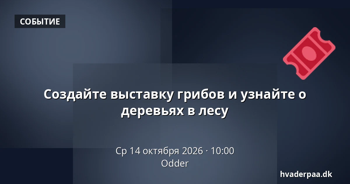 Создайте выставку грибов и узнайте о деревьях в лесу · Оддер