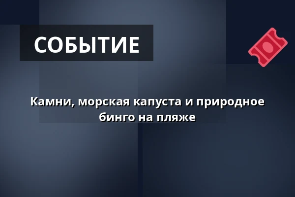 Камни, морская капуста и природное бинго на пляже · Hornslet