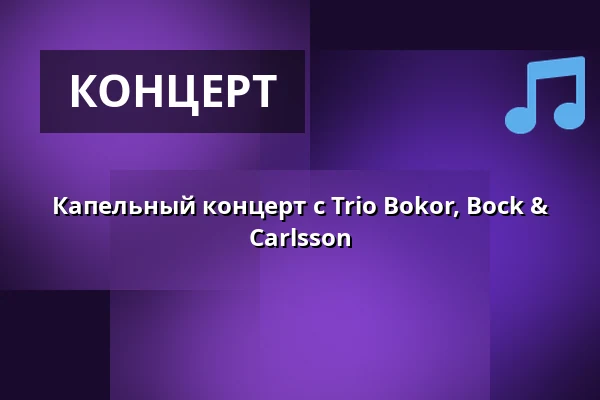 Капельный концерт с Trio Bokor, Bock & Carlsson — Holmens Kirke, Копенгаген